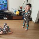 수원-1674 이미지