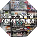 야옹아 멍멍해봐 세종점 이미지