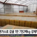 김학진농장 이미지