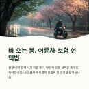 삼성오토바이센터 | 이륜차 다이렉트 보험 비교, 가입 전 반드시 확인해야 할 점