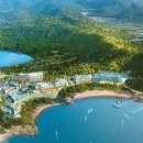 (주)월드포커스 이미지