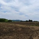 상모리-10 이미지