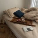 샵()사계절 이미지