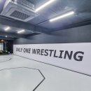 ONLY ONE 레슬링 이미지