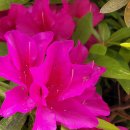 그림책지도사 자격증과정 이미지