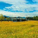 충의공원(충혼탑) 이미지