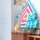 두네스 | 월간 기록_2023. 3~4월의 일상