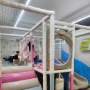 편편집 동두천점 | 동두천샤브샤브&amp;편백찜 맛집 편편집 동두천점 방문후기(키즈룸있음)