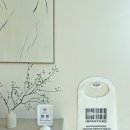 오시리아 스타테라스 | 기장 동부산 오시리아맛집 암파스타레 분위기도 좋은데 맛있기까지 ♪