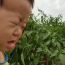 강민농장 이미지