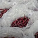 동일농약사 이미지