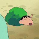 면사무소 주차장 앞 | [마롱리면사무소카페] 파주 파평면 잔디 대형카페 주말방문후기