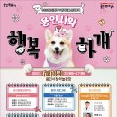 행복하개 이미지