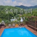 횡성펜션 숲속의쥬얼리 네이버블로그
