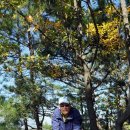 비봉산 투어로드 이미지