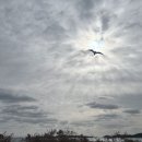부꾸커피 | 부꾸랑 서해 바다 보러 다녀온 후기