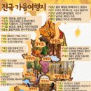 뉴스브리핑 이미지