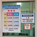 서해 고창 갯벌체험 하기 좋은곳 만돌갯벌체험학습장 요금 샤워실 축제 꿀팁