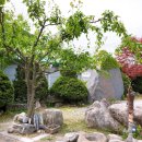 토담막국수 - 울진군 죽변중앙로 65-1 | 토담막국수