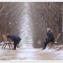 샤갈의 마을 이미지