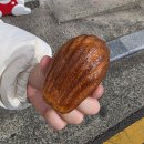 사하구 대티로 | [괴정빵집] 사하구 유행의 선도주자, "냐냐쿄쿄"