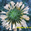 선산대로10-10 이미지