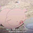 소문난김밥 이미지