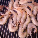 바베큐이야기 이미지