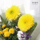 꽃방해바라기 이미지