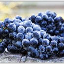 이편안치과의원 이미지