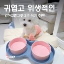 로하네 | 강아지밥그릇 2구 식기 추천! 귀엽고 위생적인 로하네상점 도자기 강아지식기