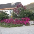 쇠실농장 이미지