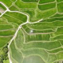 사포마을 이미지