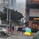 리쥬브의원 이미지