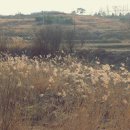 덕암천 네이버블로그