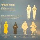 인사동 골동품거리 | 진주여행 넷째날 2 : 국립진주박물관/ 인사동 골동품거리 &amp; 마지막날