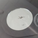 지오자동차공업사 이미지