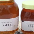 금식농장 이미지