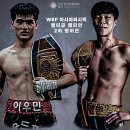 팀 드래곤 복싱 이미지