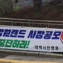 태백운수 이미지