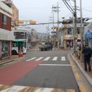 신대곶약국 티스토리