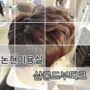 살롱드시영