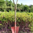 석암농장 이미지