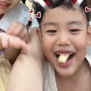 세빈목장 이미지