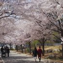 와우산배수지 이미지