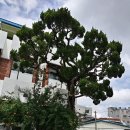 병영1동 행정복지센터 이미지