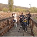 뚝섬한강공원-52 이미지