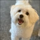 오슬멍