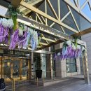 샌프란시스코 유니온스퀘어 닛코호텔 (nikko hotel) 그리고 치안