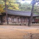 황실 - 고양시 덕양구 고양대로1384번길 19-15 | 황실